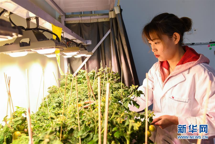 （圖文互動）（3）柳暗花明又一村&mdash;&mdash;&ldquo;今日之中國&rdquo;系列述評之三