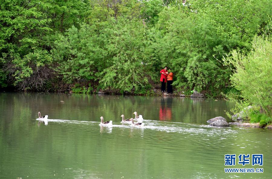 （在習近平新時代中國特色社會主義思想指引下&mdash;&mdash;新時代新作為新篇章&middot;圖文互動）（4）在這里，遇見&ldquo;詩和遠方&rdquo;&mdash;&mdash;長白山下&ldquo;第一鎮&rdquo;的全域旅游實踐