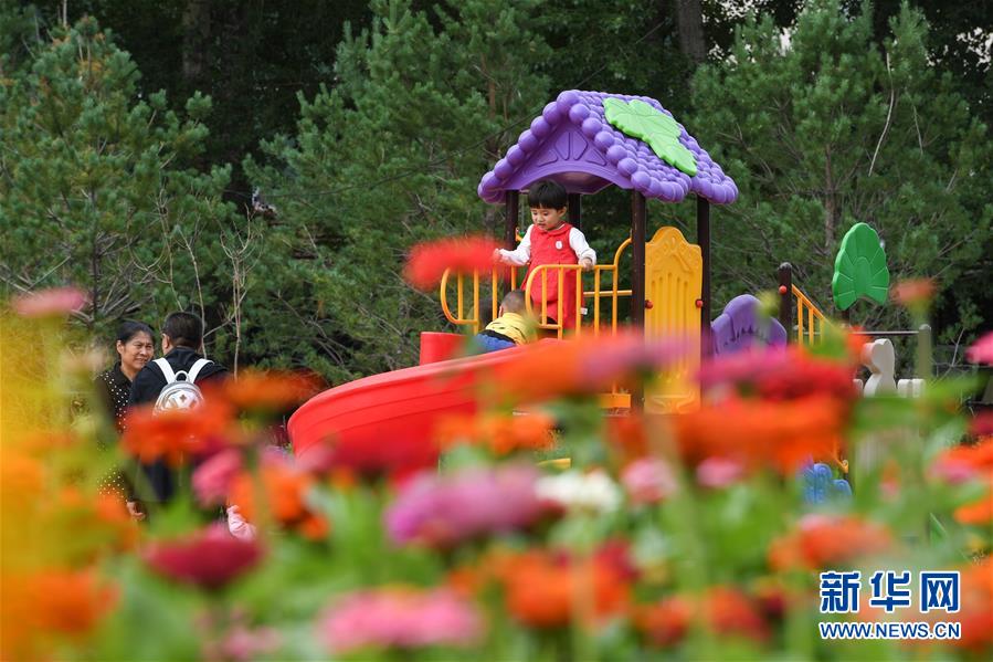 （在習近平新時代中國特色社會主義思想指引下&mdash;&mdash;新時代新作為新篇章&middot;總書記關(guān)心的百姓身邊事&middot;圖文互動）（8）棚改的溫暖：1億多人&ldquo;出棚進樓&rdquo;