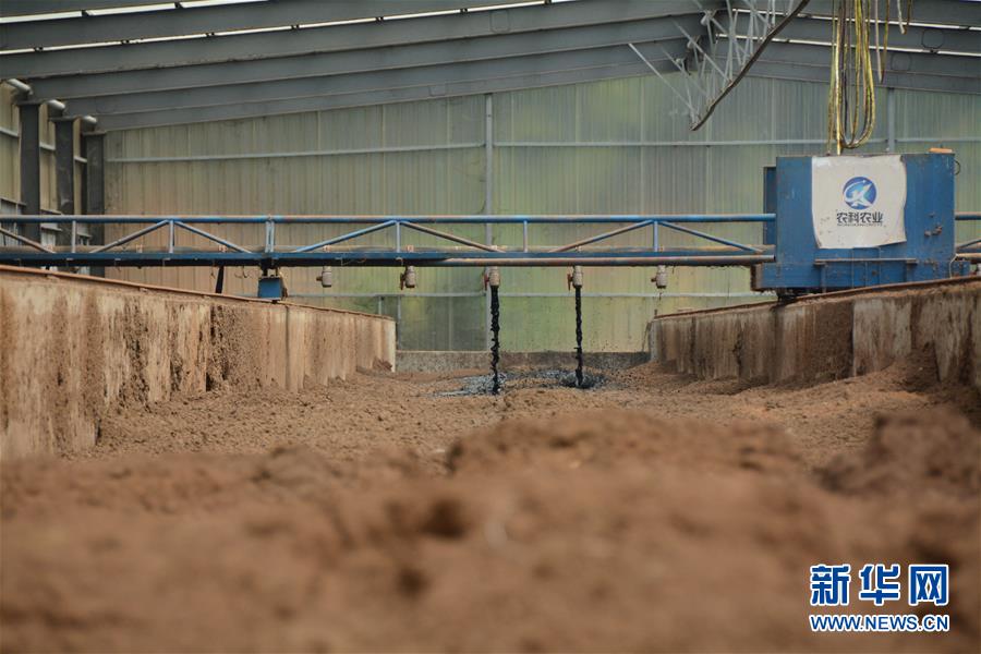 （在習近平新時代中國特色社會主義思想指引下&mdash;&mdash;新時代新作為新篇章&middot;總書記關心的百姓身邊事&middot;圖文互動）（5）大污染變身&ldquo;大寶藏&rdquo;：治理畜禽糞污，他們這樣干！