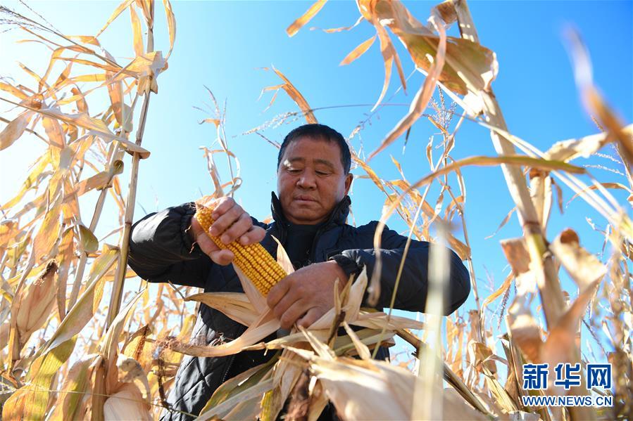 （在習近平新時代中國特色社會主義思想指引下&mdash;&mdash;新時代新作為新篇章&middot;總書記關心的百姓身邊事&middot;圖文互動）（3）一本&ldquo;村官&rdquo;日記里的扶貧路&mdash;&mdash;小故事里的大情懷之四