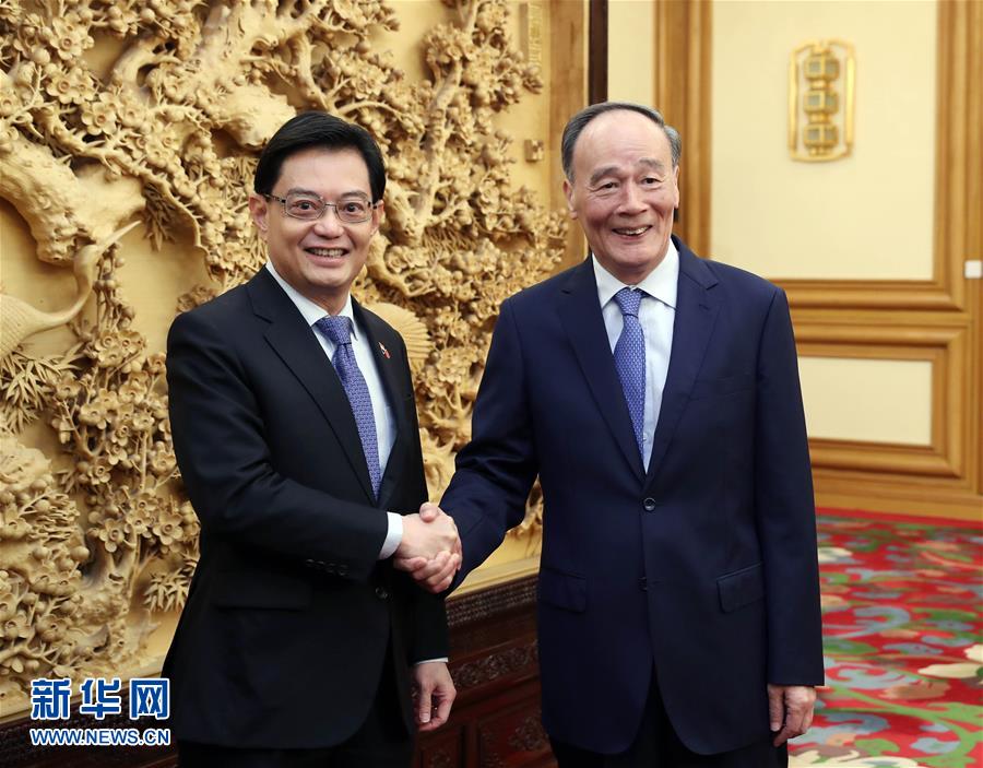 （時(shí)政）王岐山會(huì)見(jiàn)新加坡副總理兼財(cái)政部長(zhǎng)王瑞杰