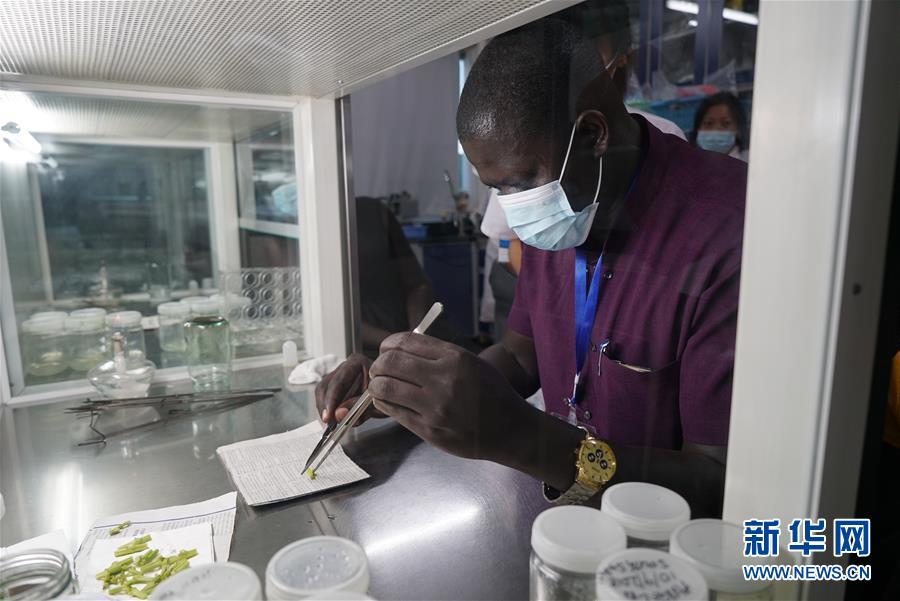 （在習(xí)近平新時(shí)代中國(guó)特色社會(huì)主義思想指引下&mdash;&mdash;新時(shí)代新作為新篇章&middot;總書記關(guān)切開放事&middot;圖文互動(dòng)）（8）來(lái)中國(guó)&ldquo;學(xué)種地&rdquo;的&ldquo;洋學(xué)生&rdquo;