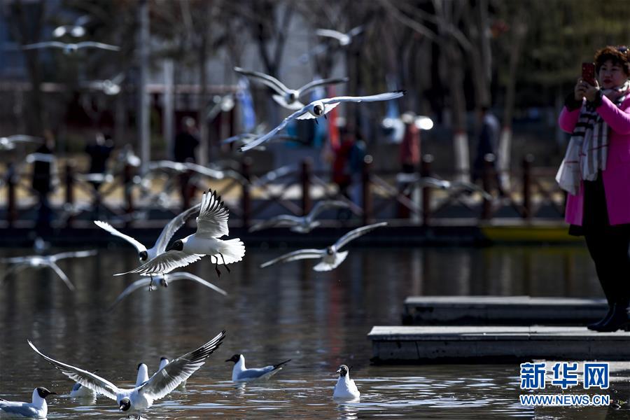 （新華全媒頭條&middot;圖文互動(dòng)）（15）從水困到水興&mdash;&mdash;寧夏&ldquo;水樣本&rdquo;中的發(fā)展密碼