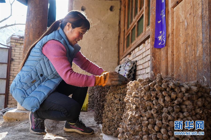 （聚焦疫情防控&middot;圖文互動）（3）一心防疫，一心脫貧&mdash;&mdash;一心村的防疫一天
