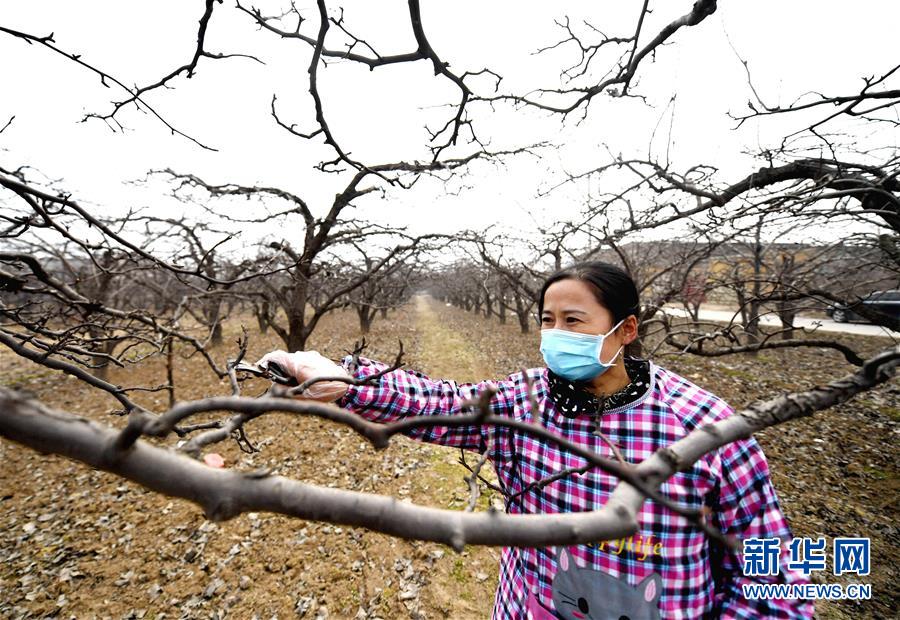 （聚焦疫情防控&middot;圖文互動）（3）農(nóng)民工返城：幾多憧憬幾許等待&mdash;&mdash;走進(jìn)疫情下的河北勞務(wù)輸出專業(yè)村