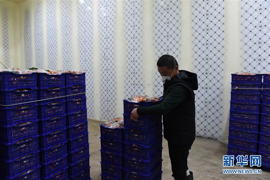 （圖文互動）（7）與疫情抗爭 與春光同行&mdash;&mdash;廣西農村春耕備耕一線觀察