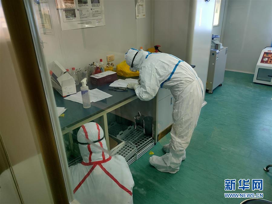 (一線抗疫群英譜·圖文互動)(2)三千里馳援的“病毒偵察兵”