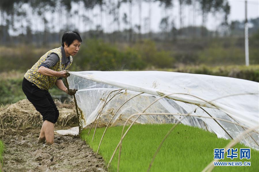 （圖文互動）（2）&ldquo;早一天復(fù)工，損失就少一點&rdquo;&mdash;&mdash;廣西以精準(zhǔn)防控推動復(fù)工復(fù)產(chǎn)一線見聞