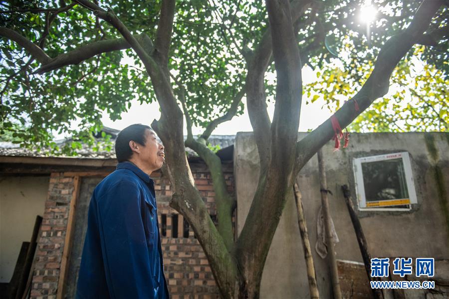 （新華全媒頭條&middot;圖文互動）（7）書寫新的轉折&mdash;&mdash;寫在革命老區遵義全面脫貧之際