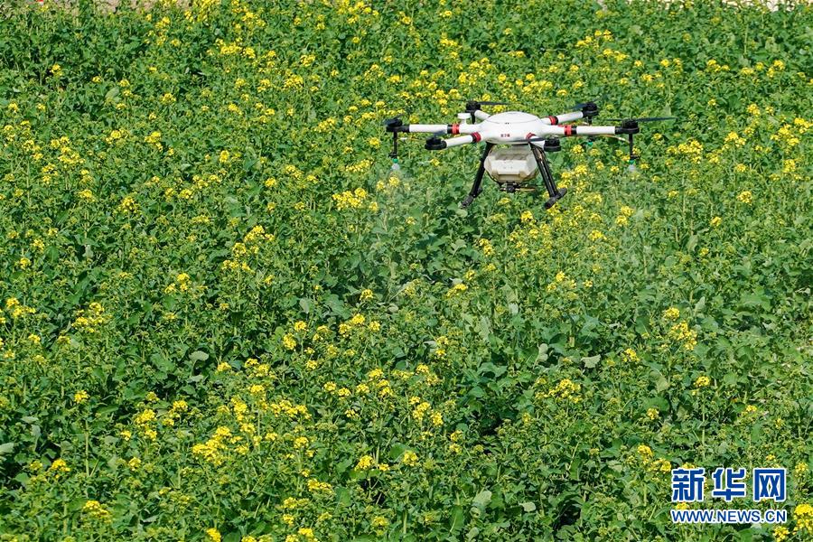 (在習近平新時代中國特色社會主義思想指引下——新時代新作為新篇章·習近平總書記關切事·圖文互動)(17)精準發力抓統籌——各地落實“分區分級”有序恢復生產生活