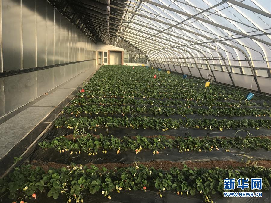 （圖文互動）（2）產業變綠 石墨變金 環境變美&mdash;&mdash;&ldquo;煤城&rdquo;三變孕育春的生機