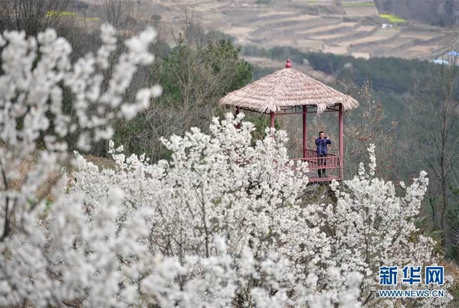 （新華全媒頭條&middot;圖文互動）（6）奔向新的幸福&mdash;&mdash;陜西貧困縣全部摘帽的N個截面
