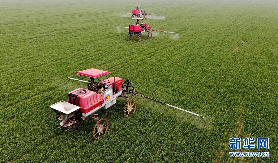 （新華全媒頭條&middot;圖文互動）（3）春天，匯聚復蘇的力量&mdash;&mdash;寫在2020年首季中國經濟收官之際