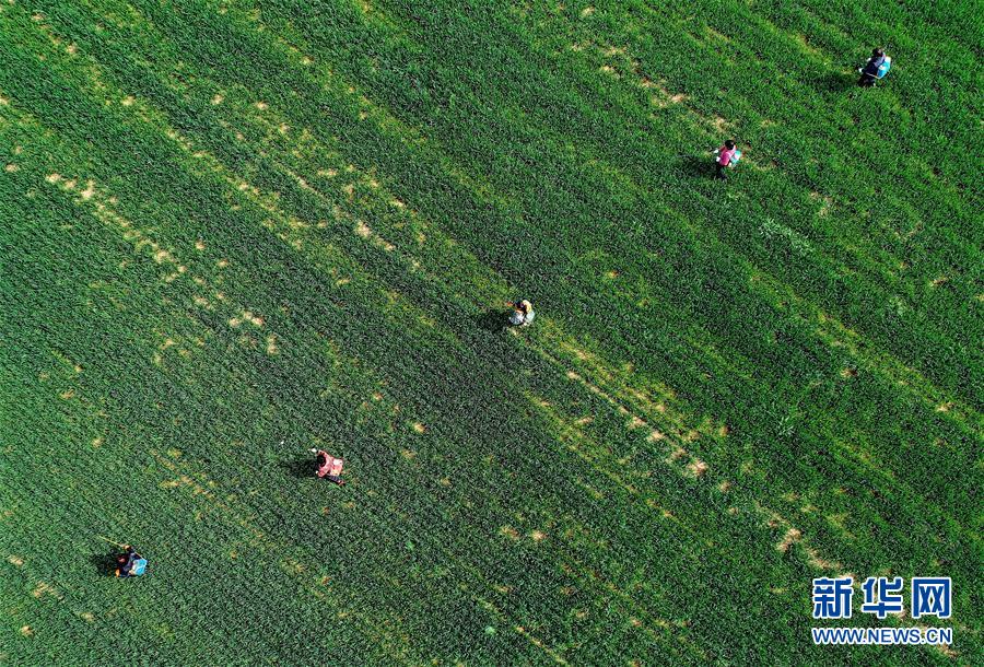 （新華全媒頭條&middot;圖文互動）（5）春天，匯聚復蘇的力量&mdash;&mdash;寫在2020年首季中國經濟收官之際