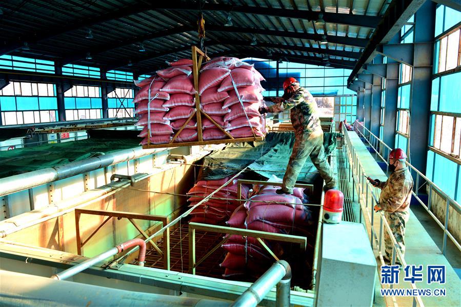 （在習近平新時代中國特色社會主義思想指引下&mdash;&mdash;新時代新作為新篇章&middot;習近平總書記關切事&middot;圖文互動）（6）希望的田野，希望的春天&mdash;&mdash;各地農業生產新動態掃描