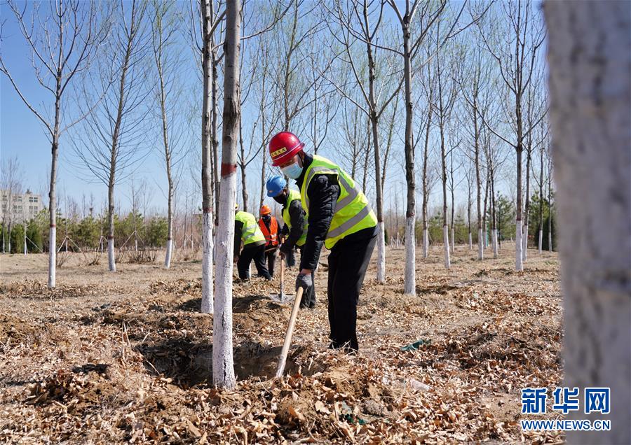 （新華全媒頭條&middot;圖文互動）（8）雄安畫卷徐徐鋪展　&ldquo;未來之城&rdquo;蓄勢待發(fā)&mdash;&mdash;雄安新區(qū)設(shè)立三周年巡禮