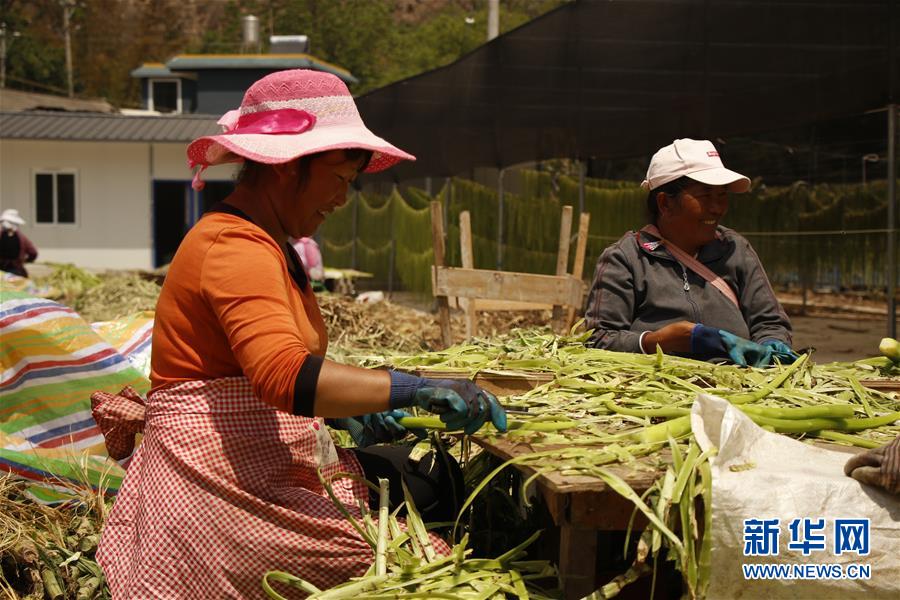 （在習近平新時代中國特色社會主義思想指引下&mdash;&mdash;新時代新作為新篇章&middot;習近平總書記關切事&middot;圖文互動）（4）啃下最后的硬骨頭&mdash;&mdash;脫貧攻堅掛牌督戰進行時
