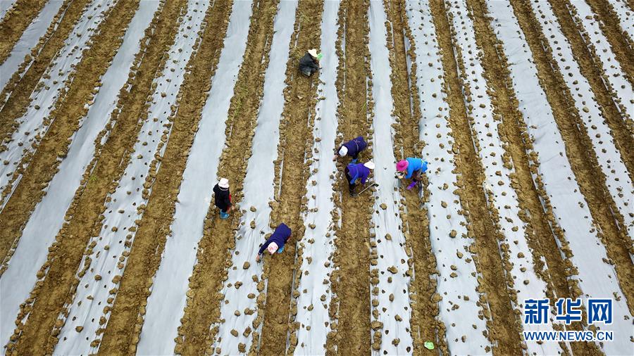 （在習近平新時代中國特色社會主義思想指引下&mdash;&mdash;新時代新作為新篇章&middot;習近平總書記關切事&middot;圖文互動）（8）啃下最后的硬骨頭&mdash;&mdash;脫貧攻堅掛牌督戰進行時