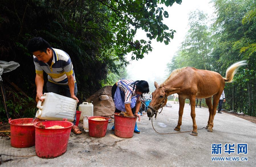 （決戰決勝脫貧攻堅&middot;圖文互動）（4）老余賣騾子