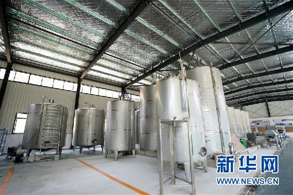 （決戰決勝脫貧攻堅&middot;圖文互動）（5）西藏昌都&ldquo;甜蜜&rdquo;產業助脫貧