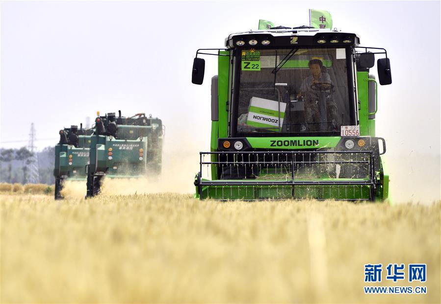 （在習近平新時代中國特色社會主義思想指引下&mdash;&mdash;新時代新作為新篇章&middot;習近平總書記關切事&middot;圖文互動）（12）讓農民挑上&ldquo;金扁擔&rdquo;&mdash;&mdash;農業現代化的生動實踐掃描