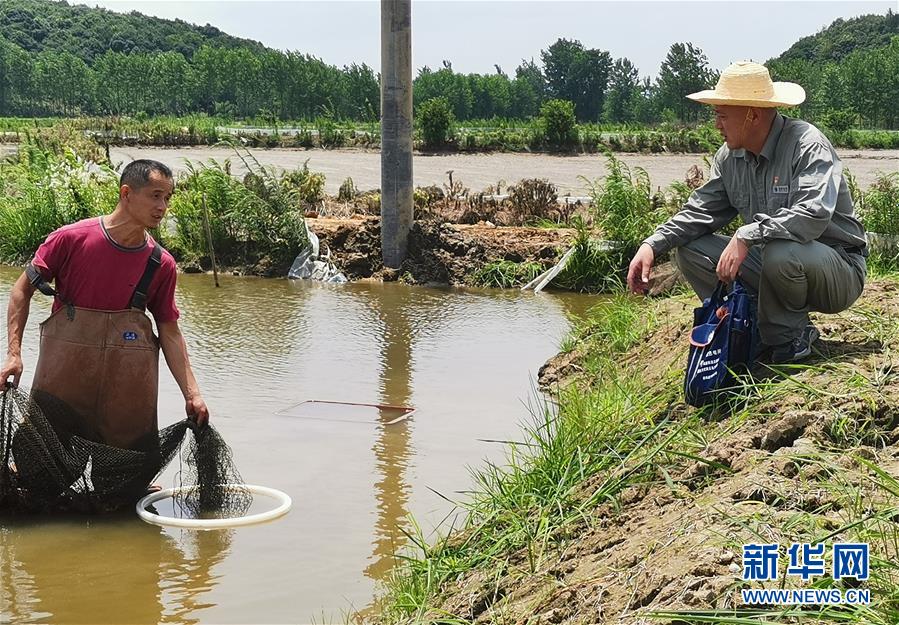 （決戰決勝脫貧攻堅&middot;圖文互動）（3）駐村第一書記當起&ldquo;蝦農&rdquo;&ldquo;牛倌&rdquo;