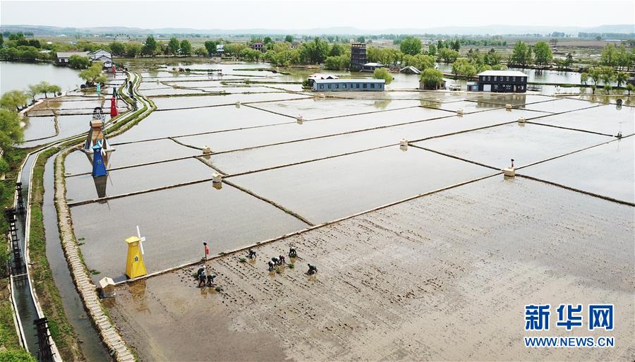 （在習近平新時代中國特色社會主義思想指引下&mdash;&mdash;新時代新作為新篇章&middot;習近平總書記關切事&middot;圖文互動）（1）讓每一寸耕地都成為豐收的沃土&mdash;&mdash;我國加強耕地保護推進&ldquo;藏糧于地&rdquo;