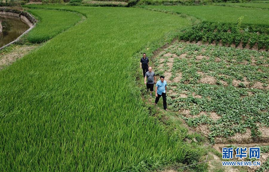 （圖文互動）（6）湘南深山，堅(jiān)守扶貧一線的黨員之家