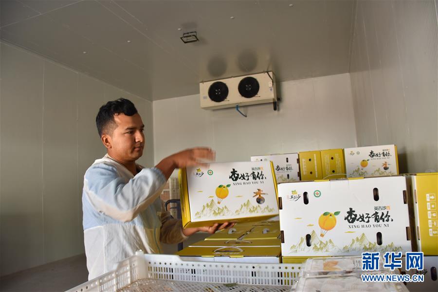 （決戰決勝脫貧攻堅&middot;圖文互動）（6）新疆&ldquo;杏鄉&rdquo;：杏果飄香 走出深閨助脫貧