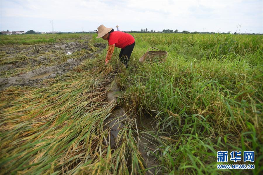 （新華全媒頭條&middot;圖文互動）（13）為了人民群眾生命財產安全&mdash;&mdash;聚焦關鍵時期全國防汛抗洪工作