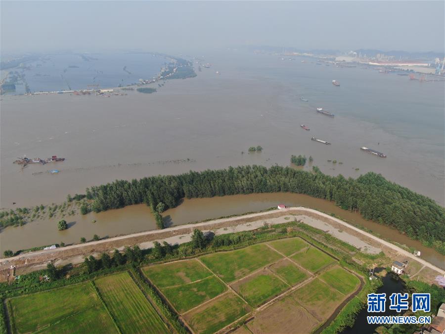 （新華全媒頭條&middot;圖文互動）（1）鏖戰江新洲