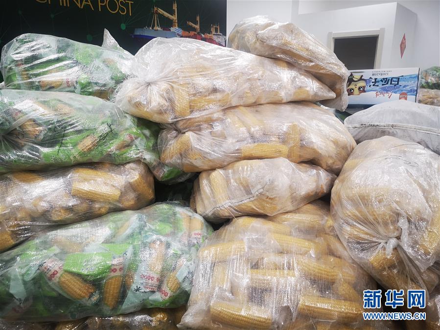 （落實&ldquo;六穩&rdquo;&ldquo;六保&rdquo;一線見聞&middot;圖文互動）（2）老煤城雙鴨山開拓就業創業新領地 