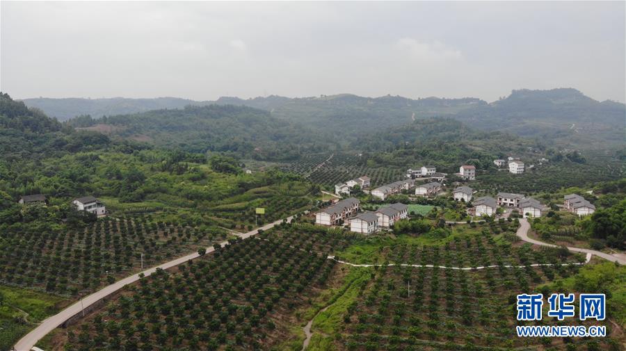 （走向我們的小康生活&middot;圖文互動）（1）擺擺幸福鄉(xiāng)村的新鮮事兒