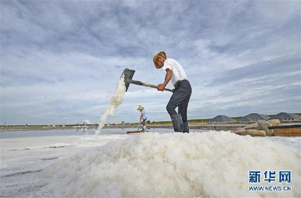 #(社會)(2)福建泉州:防御臺風 搶收原鹽