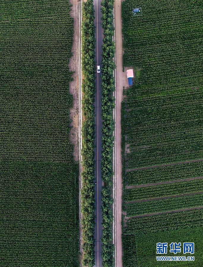 （新華全媒頭條&middot;圖文互動(dòng)）（3）為現(xiàn)代農(nóng)業(yè)探新路&mdash;&mdash;來自吉林梨樹的田野報(bào)告