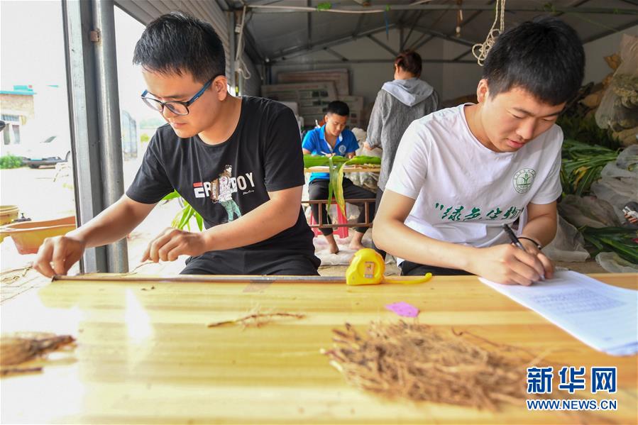 （新華全媒頭條&middot;圖文互動(dòng)）（8）為現(xiàn)代農(nóng)業(yè)探新路&mdash;&mdash;來自吉林梨樹的田野報(bào)告