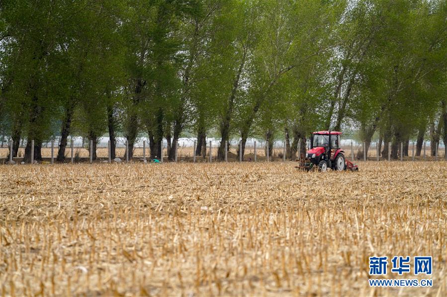 （新華全媒頭條&middot;圖文互動(dòng)）（9）為現(xiàn)代農(nóng)業(yè)探新路&mdash;&mdash;來自吉林梨樹的田野報(bào)告