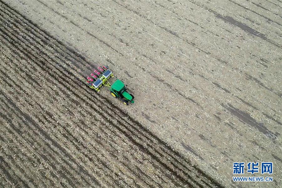 （新華全媒頭條&middot;圖文互動(dòng)）（11）為現(xiàn)代農(nóng)業(yè)探新路&mdash;&mdash;來自吉林梨樹的田野報(bào)告