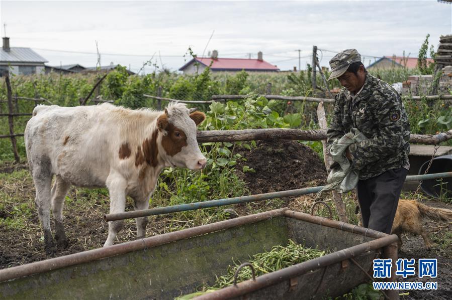 (決戰(zhàn)決勝脫貧攻堅(jiān)·圖文互動(dòng))(2)團(tuán)結(jié)村的李輝新傳