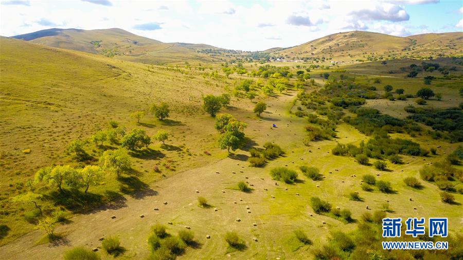 （在習(xí)近平新時代中國特色社會主義思想指引下&mdash;&mdash;新時代新作為新篇章&middot;習(xí)近平總書記關(guān)切事&middot;圖文互動）（4）綠意，在黃沙中鋪展&mdash;&mdash;我國防沙治沙紀(jì)實