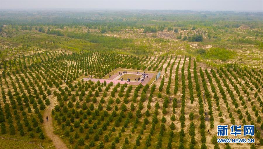 （在習(xí)近平新時代中國特色社會主義思想指引下&mdash;&mdash;新時代新作為新篇章&middot;習(xí)近平總書記關(guān)切事&middot;圖文互動）（2）綠意，在黃沙中鋪展&mdash;&mdash;我國防沙治沙紀(jì)實