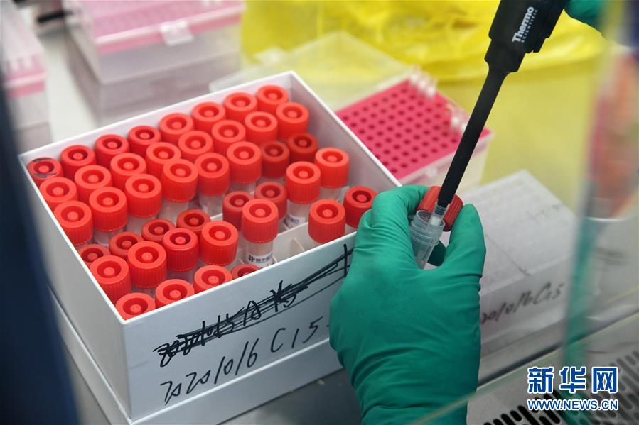 （聚焦疫情防控&middot;圖文互動）（5）青島全員核酸檢測基本完成