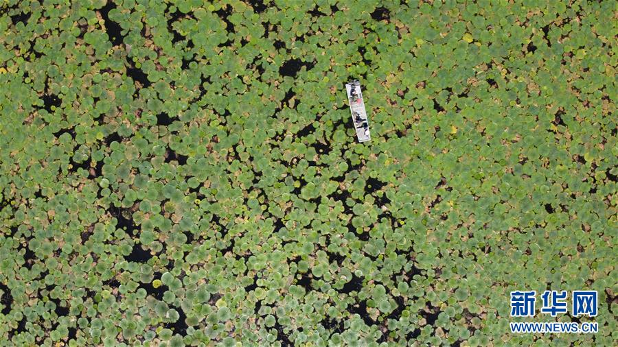 （新華全媒頭條&middot;圖文互動(dòng)）（3）長淮新&ldquo;斗水&rdquo;記&mdash;&mdash;寫在新中國治淮70年之時(shí)