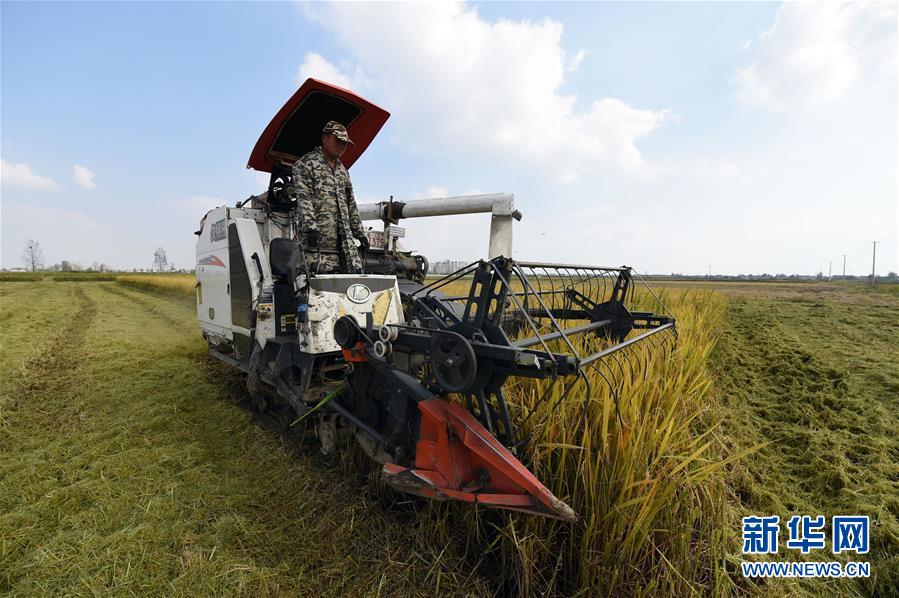 （新華全媒頭條&middot;圖文互動(dòng)）（7）長淮新&ldquo;斗水&rdquo;記&mdash;&mdash;寫在新中國治淮70年之時(shí)