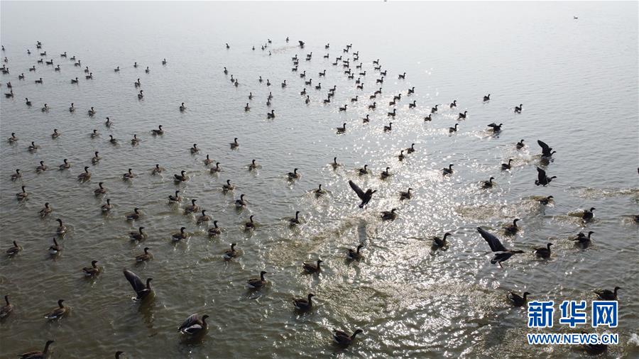 （新華全媒頭條&middot;圖文互動(dòng)）（12）長淮新&ldquo;斗水&rdquo;記&mdash;&mdash;寫在新中國治淮70年之時(shí)