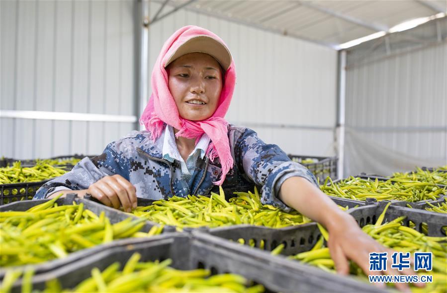 （新華全媒頭條&middot;百萬大移民&middot;圖文互動）（9）從大山深處到大河之畔&mdash;&mdash;寧夏持續移民百萬&ldquo;拔窮根&rdquo;啟示