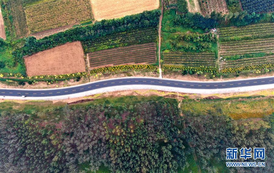 （新華全媒頭條&middot;圖文互動）（4）從&ldquo;四亂&rdquo;突出到生態修復 黃河漸成中原&ldquo;綠飄帶&rdquo;