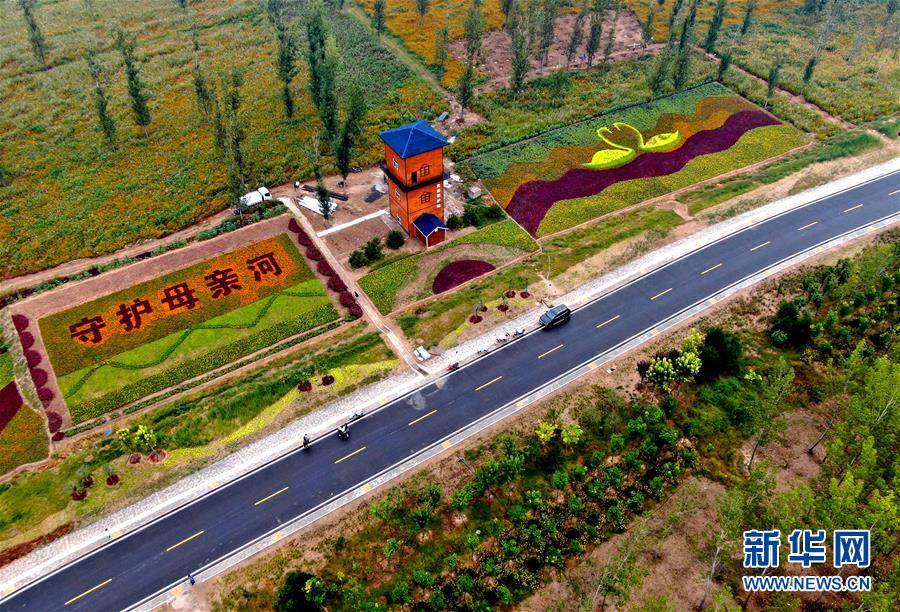 （新華全媒頭條&middot;圖文互動）（6）從&ldquo;四亂&rdquo;突出到生態修復 黃河漸成中原&ldquo;綠飄帶&rdquo;
