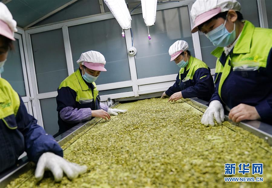 （在習近平新時代中國特色社會主義思想指引下&mdash;&mdash;新時代新作為新篇章&middot;習近平總書記關切事&middot;圖文互動）（5）激發每個經濟&ldquo;細胞&rdquo;的活力&mdash;&mdash;千方百計把市場主體保護好